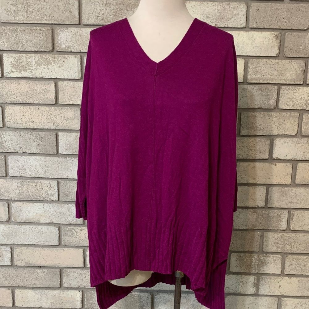 3for$20 sweater 2x